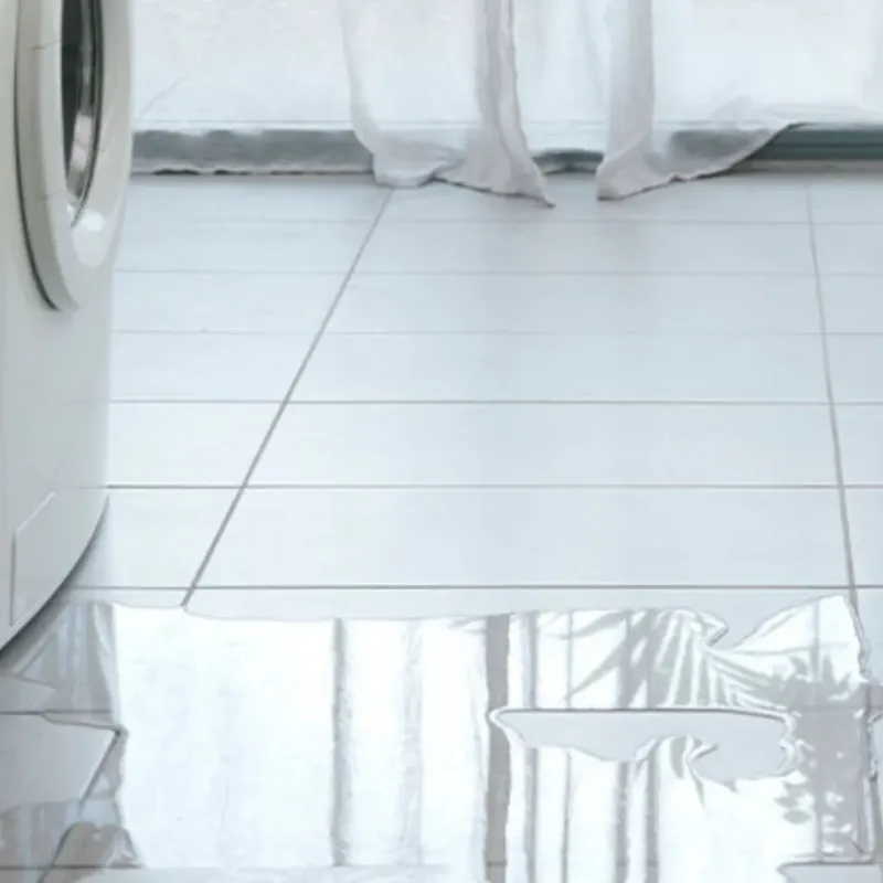Appliance Leak Cleanup in Limestone County, TX