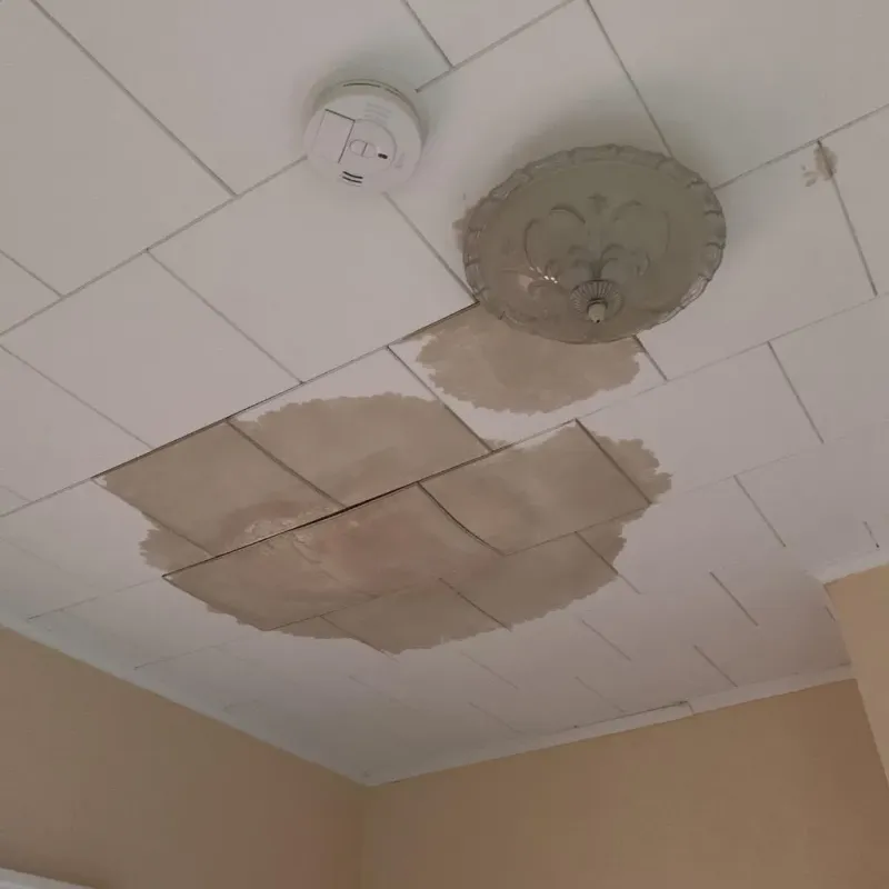 Ceiling Water Damage Repair in Limestone County, TX