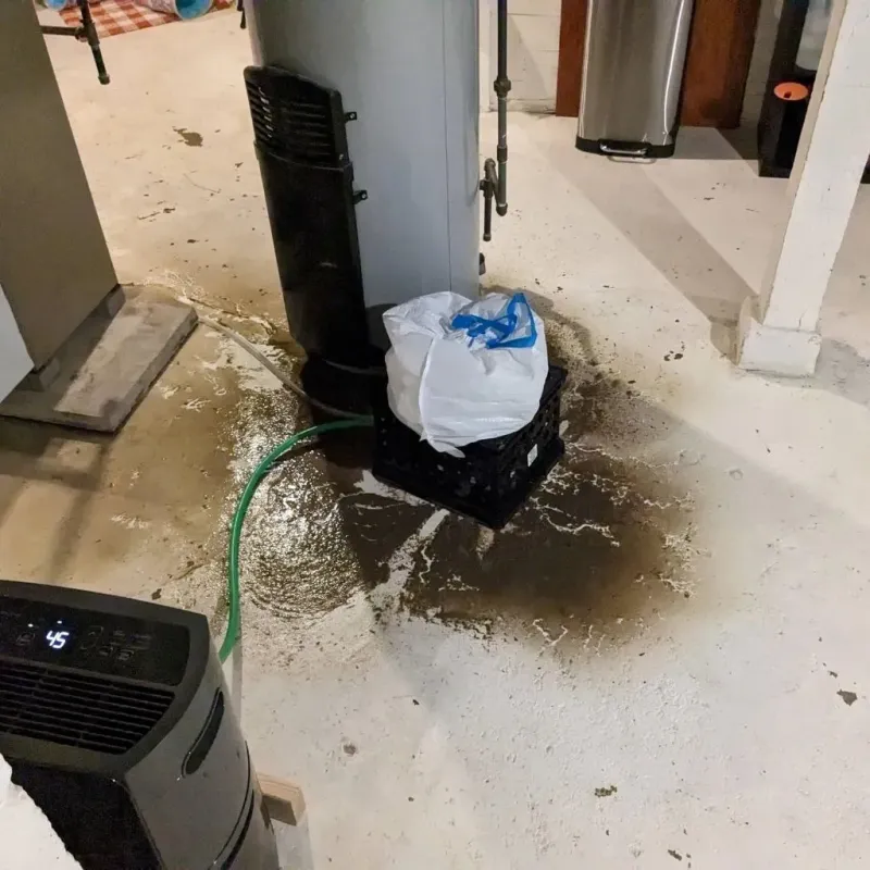 Sewage Backup Cleanup Service in Limestone County, TX